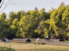 -白鹭湾湿地公园