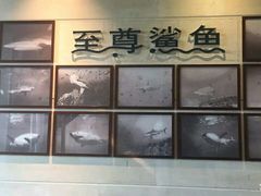 -至尊鲨鱼·原烹海鲜·新浙菜(拱宸桥店)