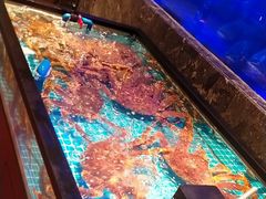 -忆江南·临江鱼馆