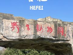 -合肥野生动物园