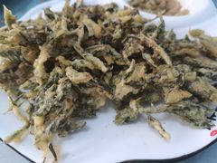 -遇见小院—虹鳟鱼•农家菜(怀柔店)