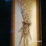 來看 Hakuchi ⁺三週年大展⁺