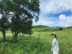 -塞罕坝国家级自然保护区