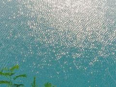 -水濂山森林公园