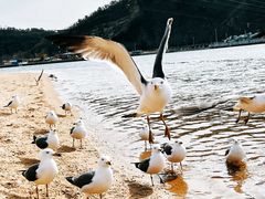 -大连老虎滩海洋公园