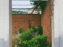 -羊亭河湿地公园