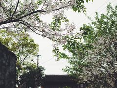 -许家山