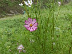 -栾川竹海野生动物园