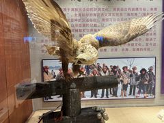-吉林市博物馆
