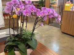 -七色云蔬食(喜邻里店)