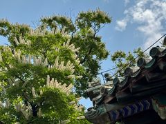 -潭柘寺景区
