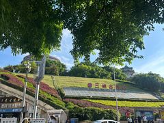 -三峡古玩城(泰古广场店)