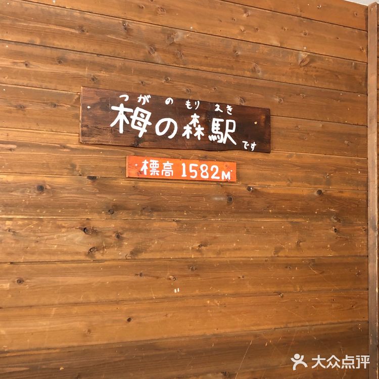 日本长野县白马村滑雪场🎿