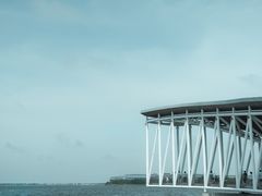 -春花秋色城市公园