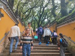 -普陀山风景名胜区-法雨禅寺
