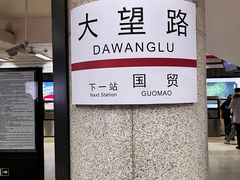 -大望路(地铁站)