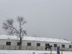 -北京群众马术培训基地