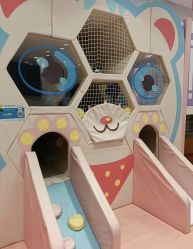 点击看大图 -孩子王童乐园(合肥瑶海万达店)