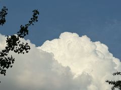 -水立方嬉水乐园