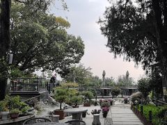 -蘇河湾·新鲁菜·泰山宴(泰山店)