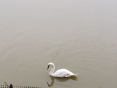 -艾溪湖湿地公园