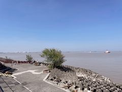 -上海滨江森林公园