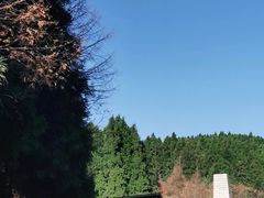 -山王坪喀斯特国家生态公园