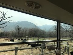 -西安秦岭野生动物园