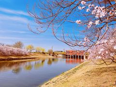 -坝河休闲公园