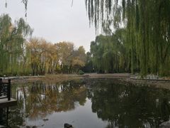 -玲珑塔公园
