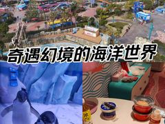 -上海海昌海洋公园