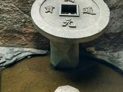 -蛇蟠岛