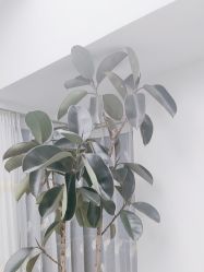 -HEYAN荷妍专业脱毛连锁机构