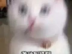-赤火牛排(金狮广场店)