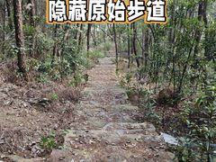 -铁山坪森林公园