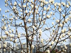 -白塘生态植物园