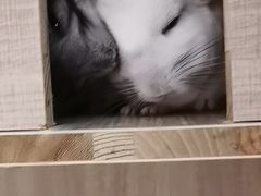 -龙猫仔乐园(惠福东路店)