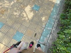 奶茶味烧仙草-八婆婆烧仙草(中山路店)