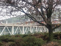 -奥黑尔国际机场