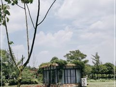-洪湖家庭农场·团建·露营·会议