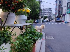 -东华大学第一食堂(松江校区店)