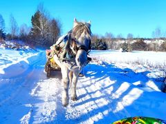 -北极村旅游风景区