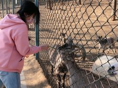 -大连森林动物园