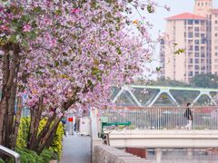 -文华公园(禅城区)