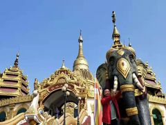 -瑞丽独树成林风景区