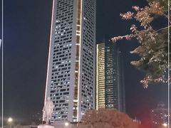 -南京金陵饭店