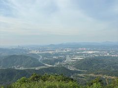 -黄埔油麻山森林公园