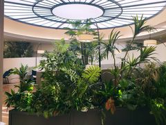 -狮王府淮扬菜(万象城店)