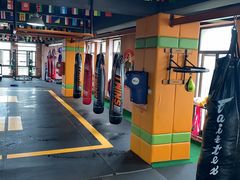 -臻元搏击格斗泰拳拳馆(港隆店)