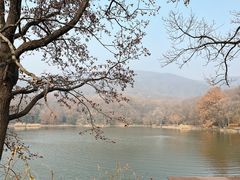 -紫霞湖公园